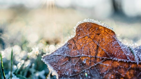 Is your garden winter ready?