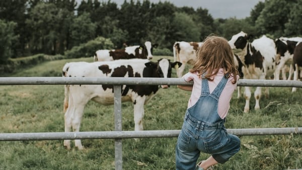 Could a pill for cows help solve Ireland's methane problem?