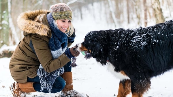 What to know about walking your dog in the cold